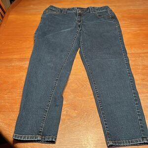 Lane Bryant Jeans